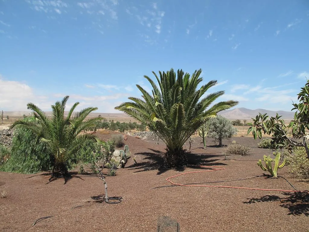 Affittacamere Casa De Nico Antigua  0*, Antigua (Fuerteventura) Spagna