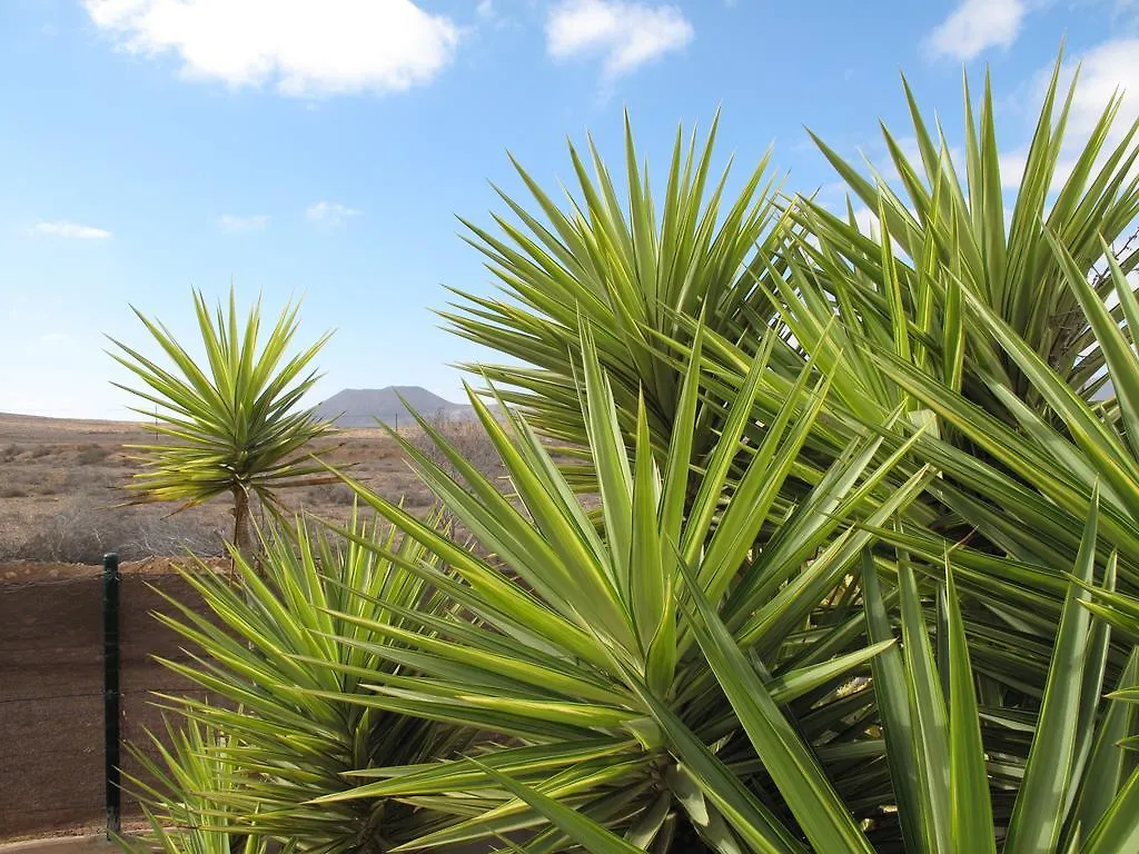 Affittacamere Casa De Nico Antigua  Casa di campagna Antigua (Fuerteventura)